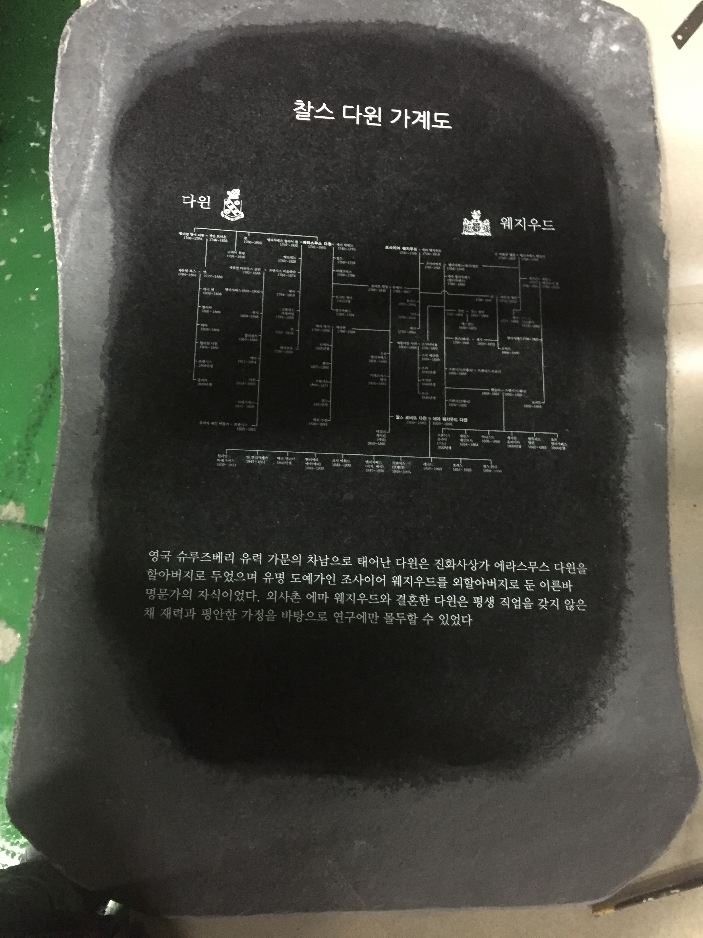 5703e9a23bae7aa3275e462f525fbdb2.JPG
