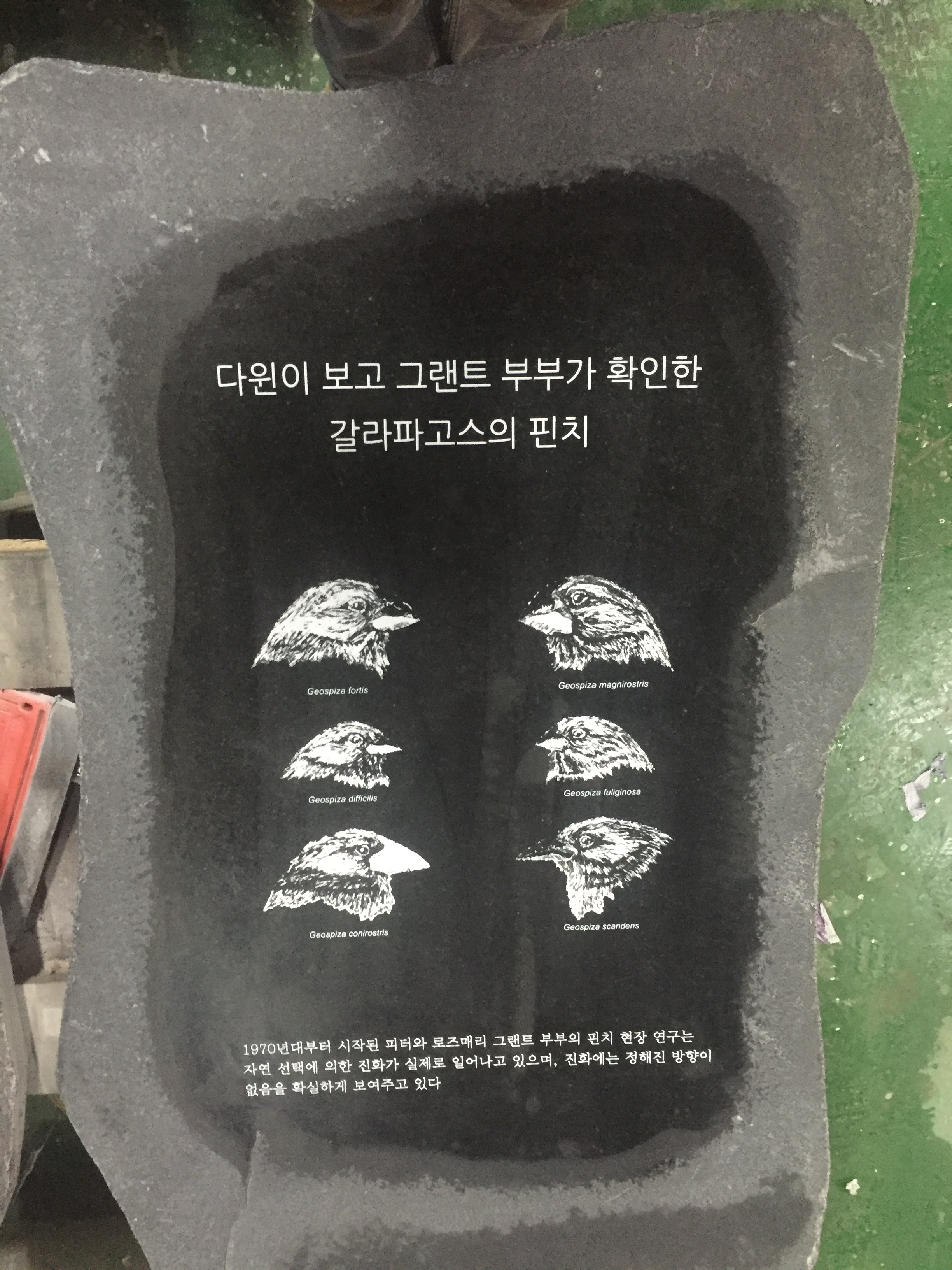 f870a402f91be014c4633dc30ac1fd52.JPG