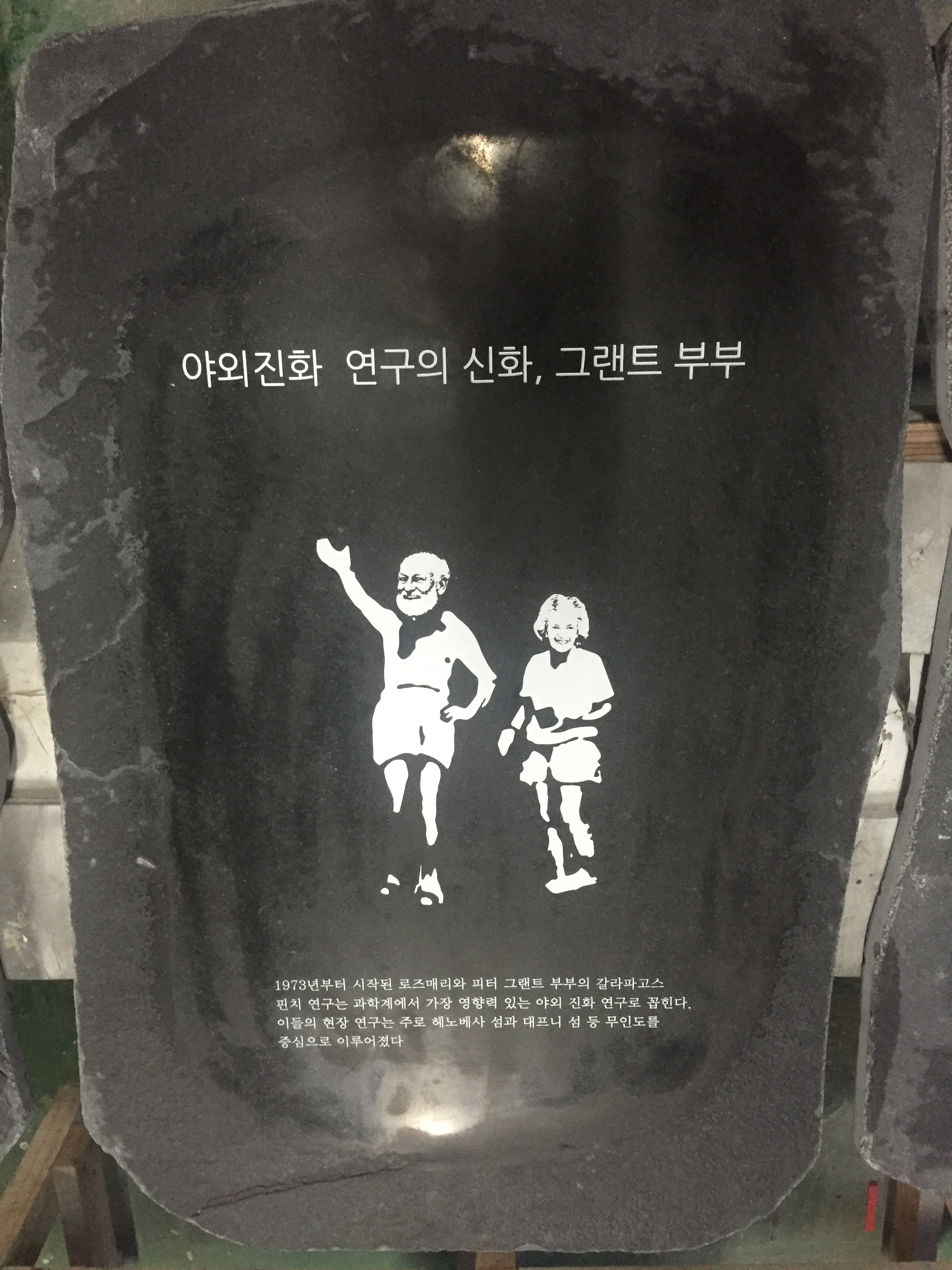 22f5e093fa6ac85a3fb893d3fc7347df.JPG