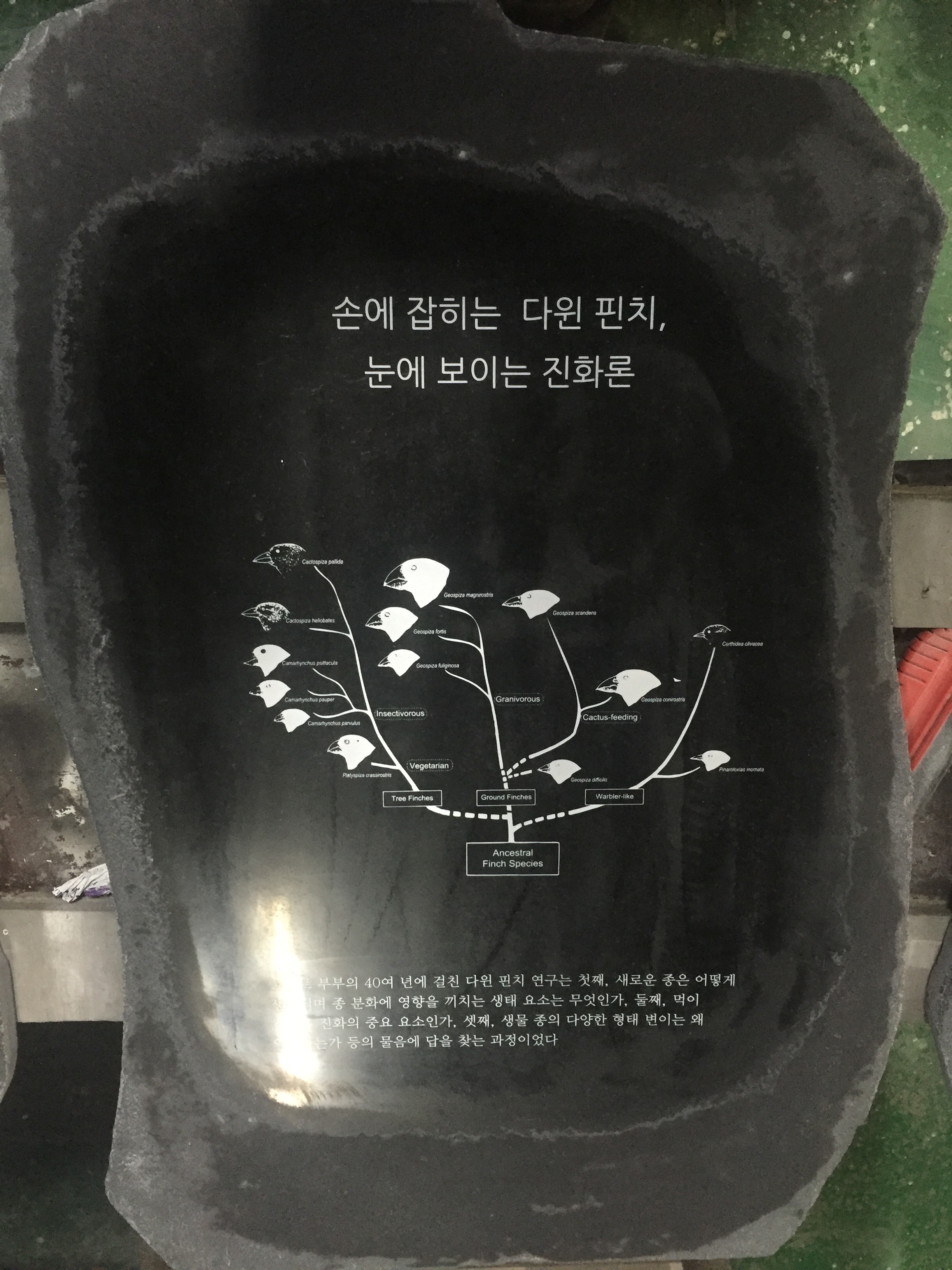 ea82cbc3b9a9092295dfdf1a6d1c5c2a.JPG