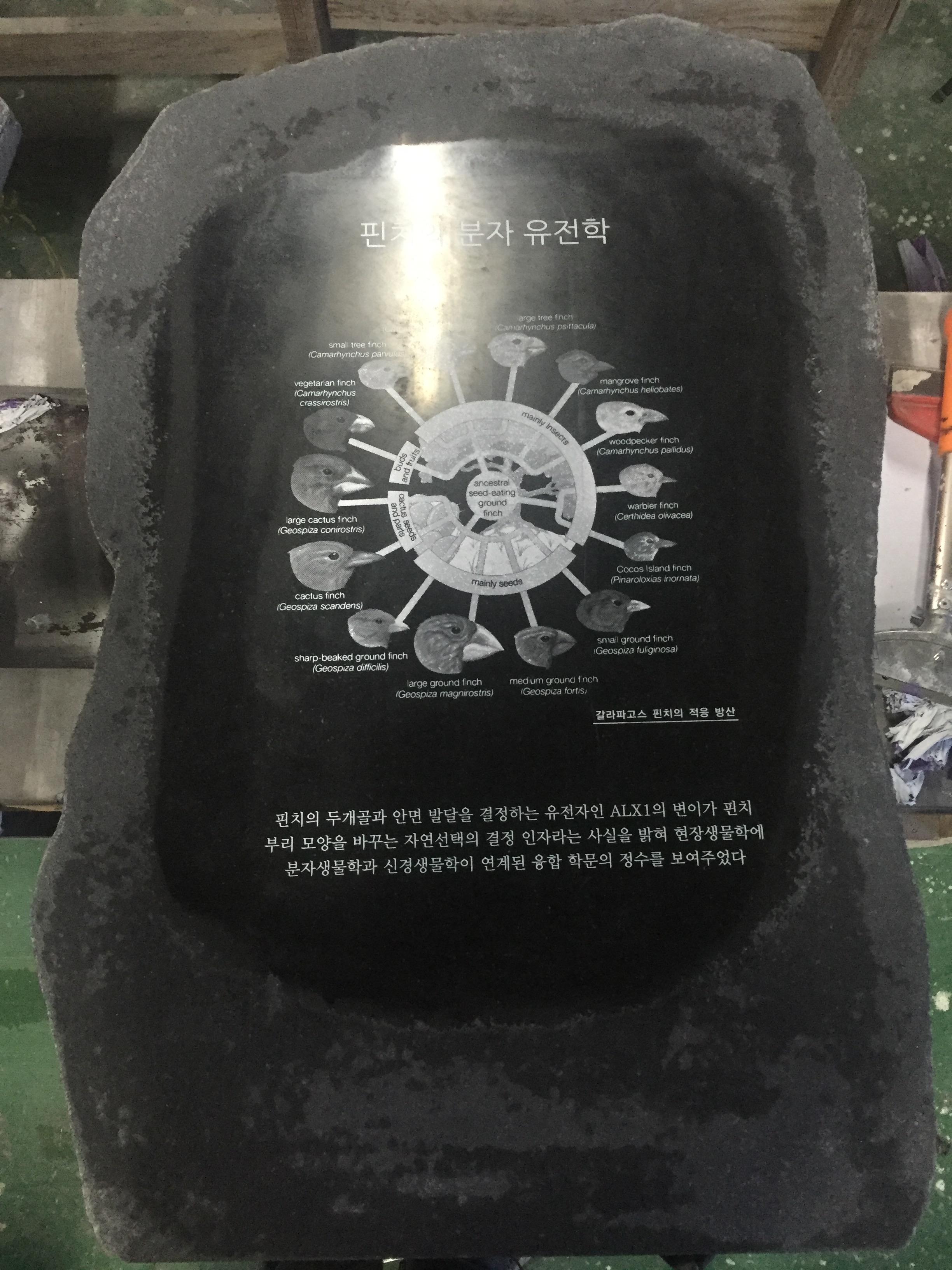 ab57c164e301eb1b7024af191d3785e9.JPG